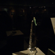 Illustration for article titled Pictures from the Reagan Library: The Titanic Exhibit
